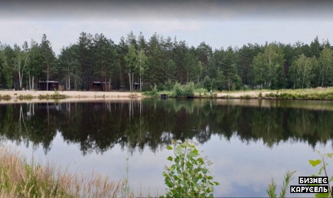 Участок с сосновым лесом и собственным родниковым озером. Киев - изображение 1