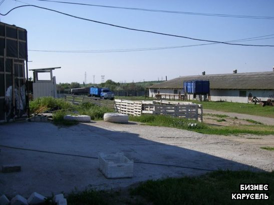 Продам ферму, животноводческий комплекс, готовый бинес Николаев - изображение 1