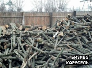 Партнер в бизнесе по выжиганию древесного угля Киев - изображение 1