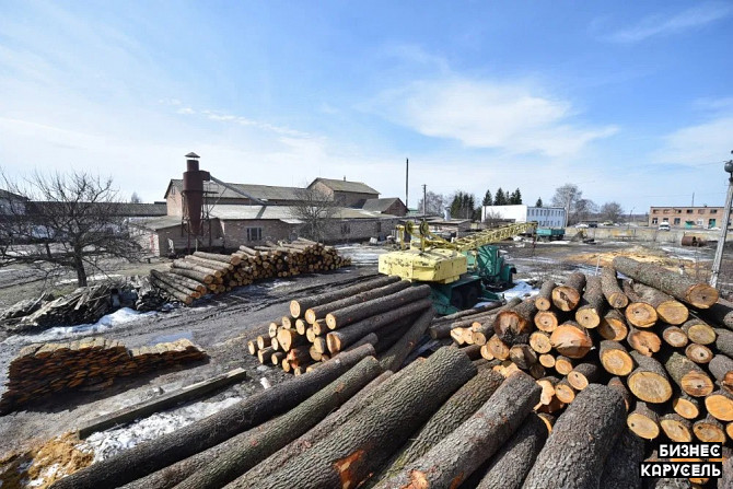 Продаж виробничого підприємства м. Пирятин біля траси Пирятин - изображение 1