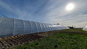 Продаж тепличного господарства Володимир-Волинський