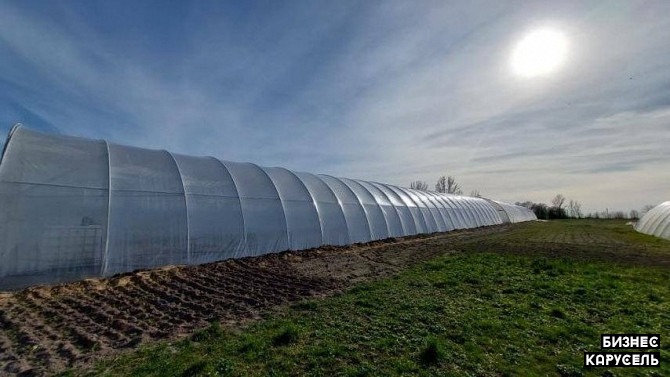 Продаж тепличного господарства Володимир-Волинський - изображение 1
